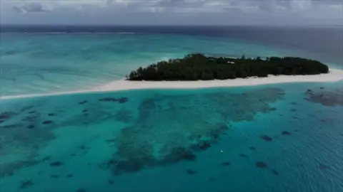 Oceans Without Borders Aerial view of Mnemba