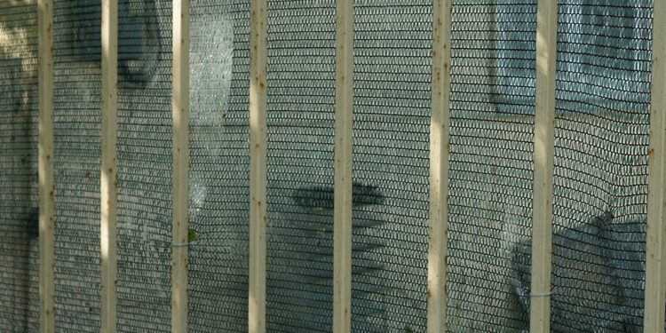 texture of brown metal rods in a fence on the background of a green mesh of fabric