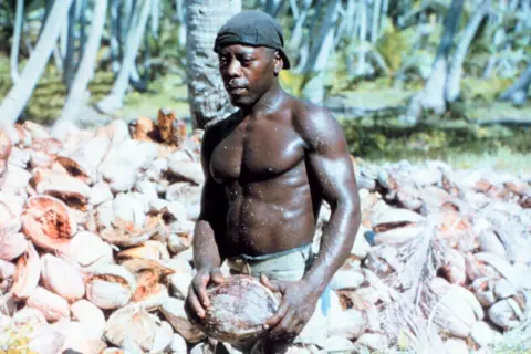 Getty Images Chagos islander pictured harvesting coconuts, 1960