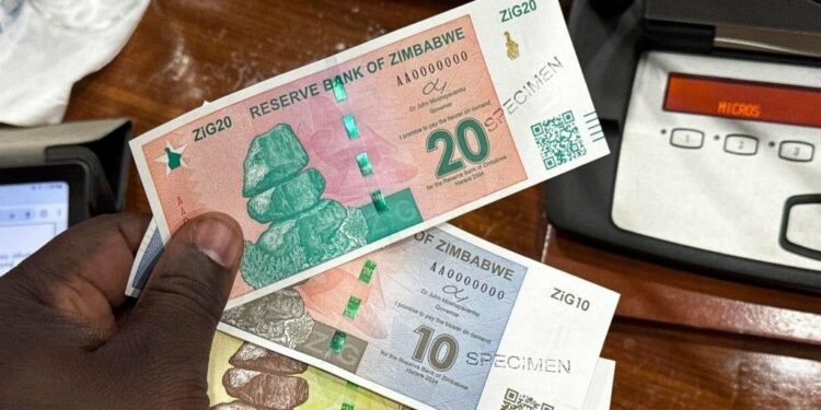 Banknotes of the new national currency Zimbabwe Gold, ZiG for short, are presented at a press conference of the Central Bank of Zimbabwe. (Columbus Mavhunga/picture alliance via Getty Images)