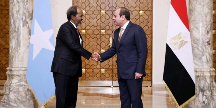 Egyptian president Abdel Fattah al-Sisi welcomes Somalia's President Hassan Sheikh Mohamud in Cairo in January 2024. (Egyptian Presidency via AFP)