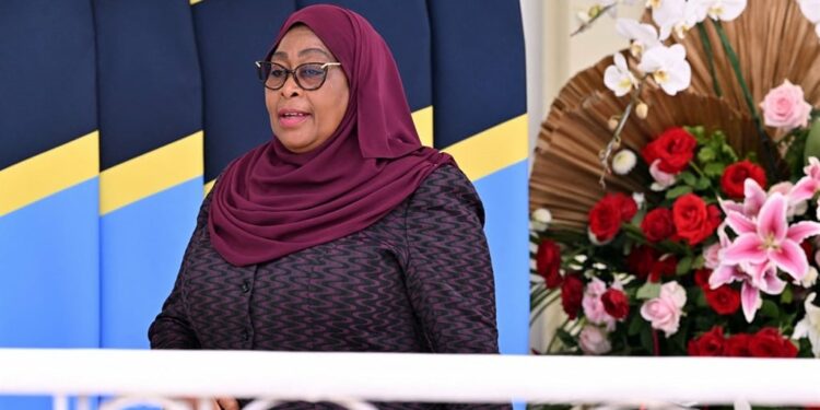 News24 | Killings, media crackdown ahead of Tanzania's local polls that will preview 2025's general elections