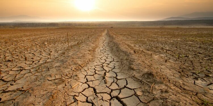 News24 | Namibia central bank mandates banks to offer drought relief