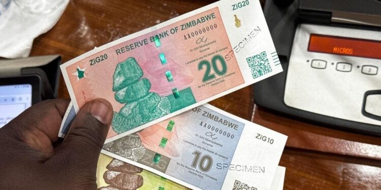 News24 | Zimbabwe shops impose limits amid panic-buying after huge official ZiG devaluation