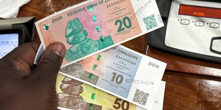 News24 | Zimbabwe’s gold-backed currency loses half its value: Why and what’s next?