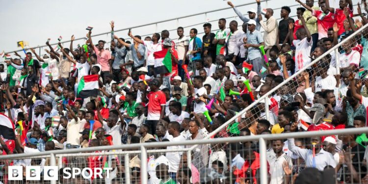 Sudan fans shout and wave flags in the stands during a World Cup qualifier against South Sudan in Juba