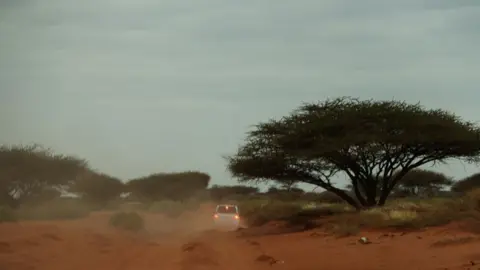 Mohamed Gabobe A van on a dirt road, driving past an Acacia tree