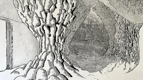 Kairos Futura A line drawing of what is imagined to be the inside of a termite mound