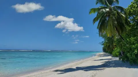 Billy Henri A beach in Agalega with white sand and blue sky, fringed by palm trees