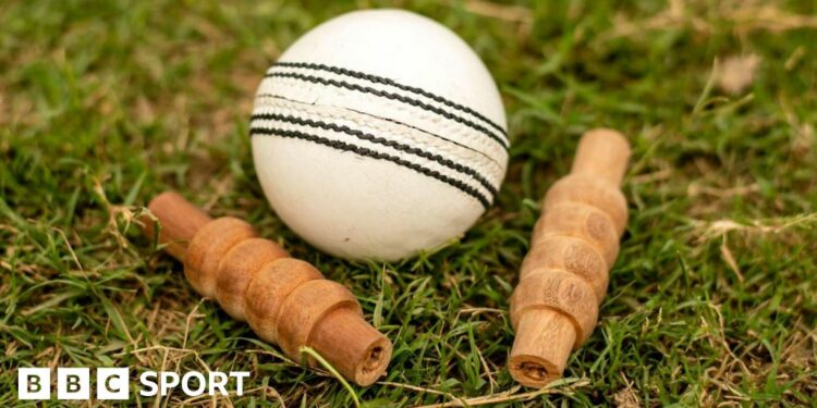 White cricket ball