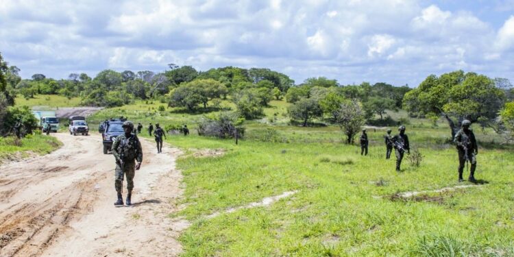 News24 | EU approves R380m for Rwandan forces in Mozambique's Cabo Delgado province