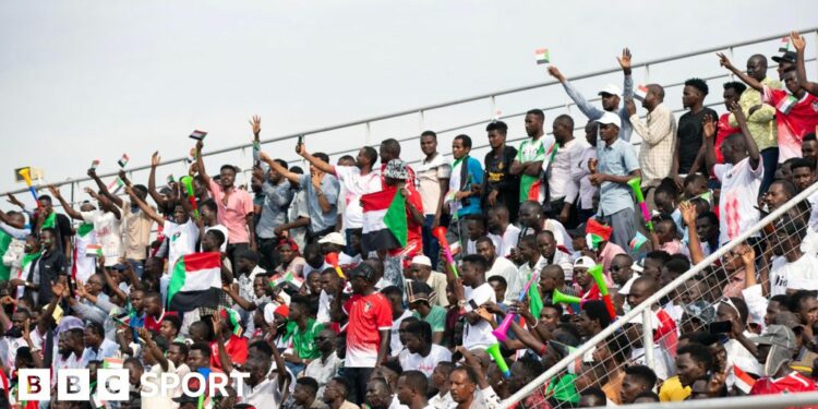 Sudan fans, some waving flags, in the stands in Juba