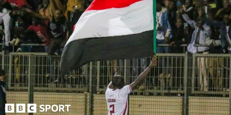 A Sudan player in a white shirt lifts a Sudanese flag ahead of supporters in the background