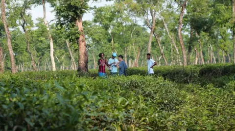 Kids of the Colony Zak Hajjaj, Abu Finiin, and Kayum Miah with a friend in rural Bangladesh surrounded by trees and greenery