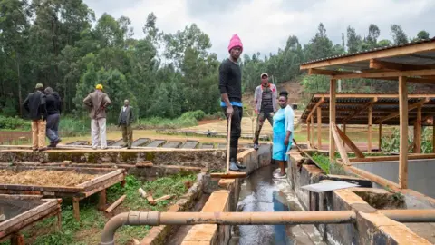 Kate Stanworth Coffee processors stand near a water channel where they're washing and drying the coffee beans.