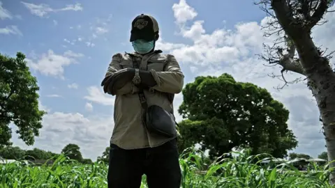 Michael Mvondo / BBC James (not his real name) looks down as he poses for a photo with his arms folded wearing a wrist watch, baseball cap, face mask, trousers, a khaki shirt and small crossbody brown bag. He is standing in a maize field with big trees and a blue sky in the background