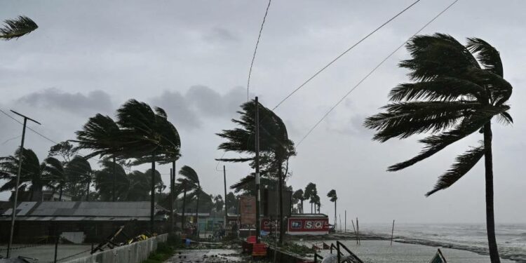 News24 | Cyclone Chido death toll rises to 94 in Mozambique