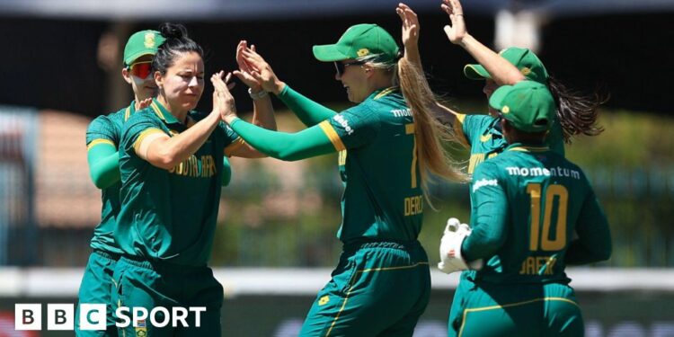 South Africa players celebrate a wicket