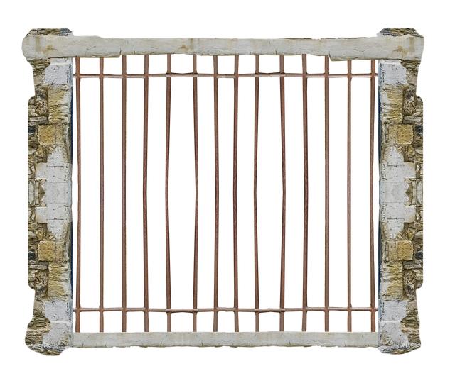 Impact of Arbitrary Imprisonment on Civil Society