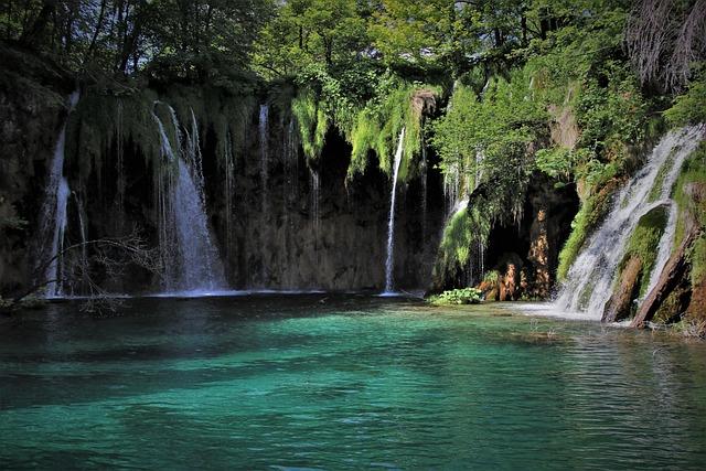 Innovative Solutions: Ecotourism as a Pathway for Conservation Funding