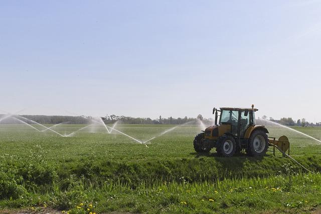 Impact on Agriculture: Boosting Food Security Through Improved Irrigation