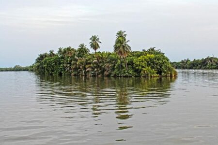My Experience in The Gambia – University of Dayton – News Home