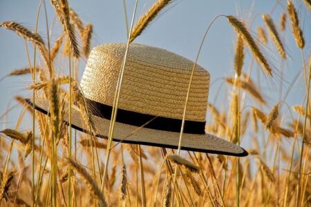 The EBRD is supporting mid-cap companies in Egypt, Morocco and Tunisia through a cornerstone commitment – EBRD