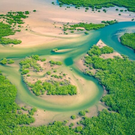 Who benefits from Senegal’s offshore oil drilling? – Dialogue Earth