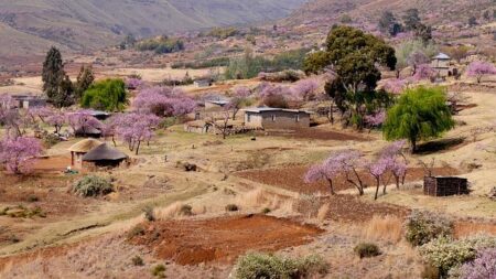 Lesotho: The small African country with the world’s highest suicide rate – BBC.com