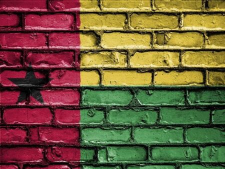 Will Embalo roll back Guinea-Bissau’s limits on his powers? – Geopolitical Intelligence Services AG