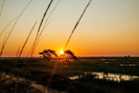 Zambia Civil Society Organizations Open Day – African Development Bank