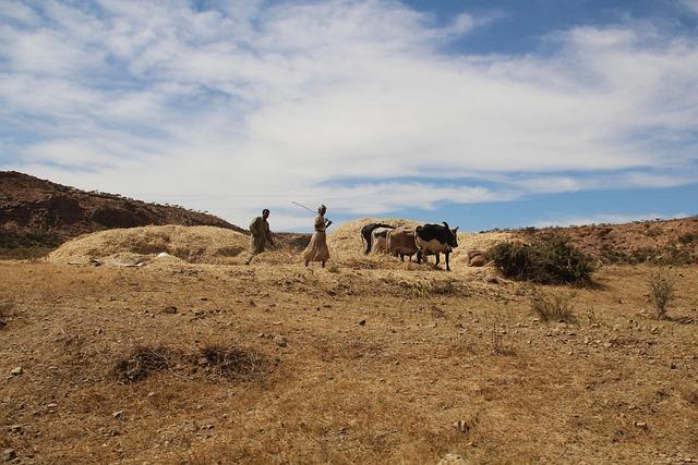 Eritrea: 28 prisoners of conscience detained 18 years ago must be immediately and unconditionally released – Amnesty International