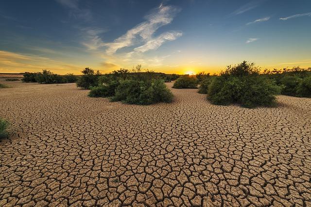 Worst drought in century devastates Southern Africa, millions at risk – Al Jazeera English Worst drought in century devastates Southern Africa, millions at risk – Al Jazeera English