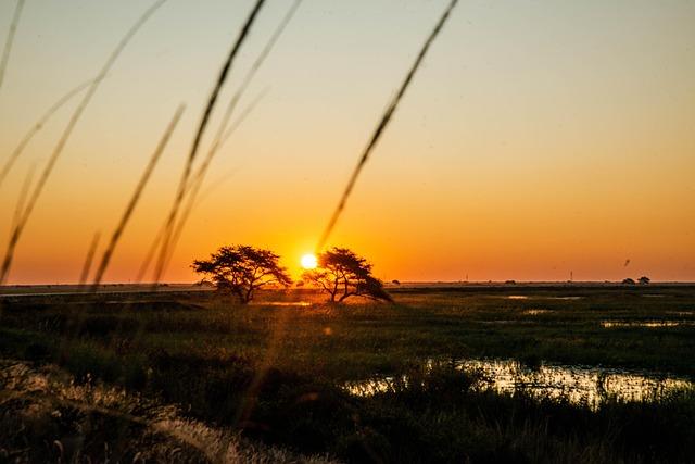 Why Zambia is Africa’s best-kept holiday secret – The Telegraph
