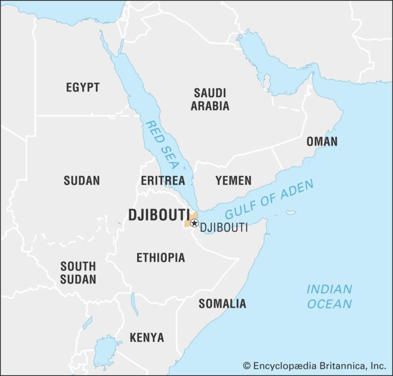 Djibouti’s foreign minister elected to top African Union post – The Financial Express BD
