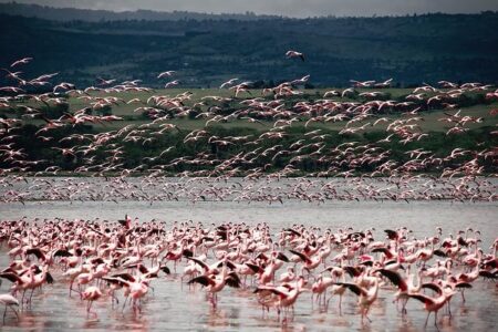 7 times Kenya lost at the AU, global stage and why Raila’s loss is unsurprising – Nation