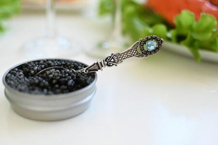 Pricey Pride: What It Took For These Entrepreneurs To Produce African Caviar In Madagascar – Forbes Africa