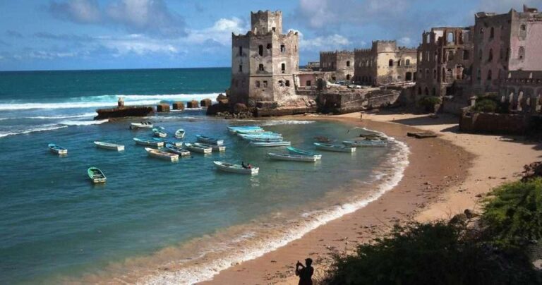 Somalia was the only country known to have carried out executions in sub–Saharan Africa – Amnesty International Somalia was the only country known to have carried out executions in sub–Saharan Africa – Amnesty International