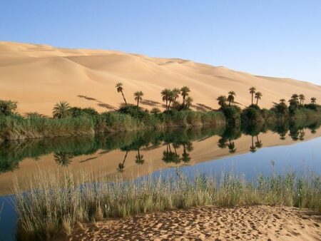 The fall of Libya’s central banker triggers a new struggle – The Economist