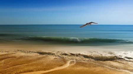 This is Africa’s most under-the-radar beach destination – The Times