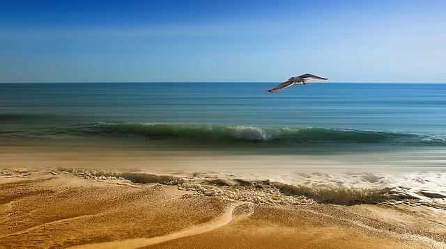 This is Africa’s most under-the-radar beach destination – The Times