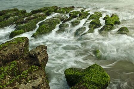 Comment: Fossil algae show a lake once existed on Lesotho’s Mafadi summit but it vanished – University College London