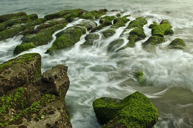 Comment: Fossil algae show a lake once existed on Lesotho’s Mafadi summit but it vanished – University College London Comment: Fossil algae show a lake once existed on Lesotho’s Mafadi summit but it vanished – University College London