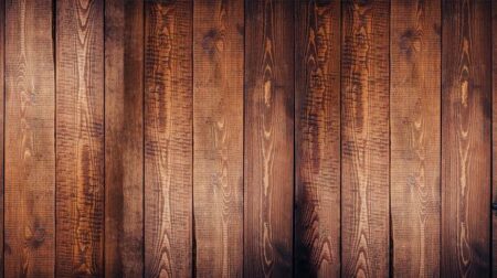Global hardwood demand cuts deep into The Gambia’s revenue – Institute for Security Studies