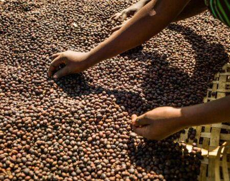 Ethiopia’s DPM Stresses Need for Africa to Invest in Coffee Industry, Expand Global Market Share – ኢዜአ
