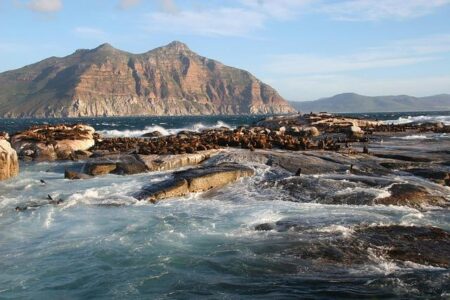 South Africa: Zimbabwe Exemption Permit Visa Waiver Application Outcome Digitized – Fragomen