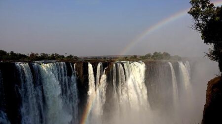 Zimbabwe’s Tano Digital Scoops Top African Award – SAP News