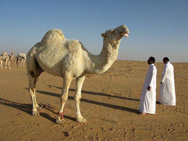 Saudi Pro League: Africa’s growing ‘brotherhood’ in Saudi Arabia – BBC.com Saudi Pro League: Africa’s growing ‘brotherhood’ in Saudi Arabia – BBC.com
