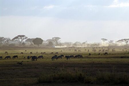 Preparing for Climate Disasters in East Africa – Think Global Health