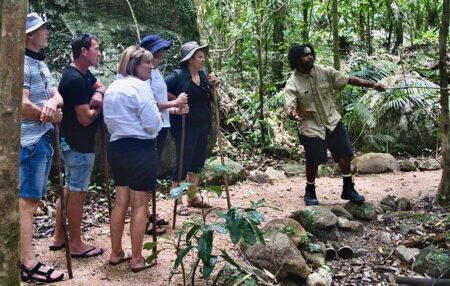 Africa Travel Guide: 2025’s Best Destinations, Events, Attractions and More – TravelPulse